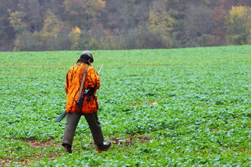 Hunter man with shotgun dressed in orange camouflage clothing in the autumn forest