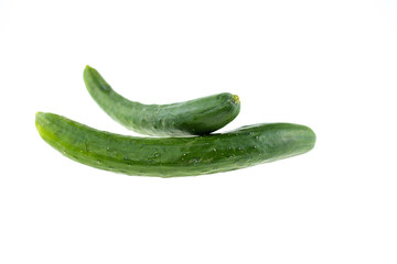 long green cucumber white background.