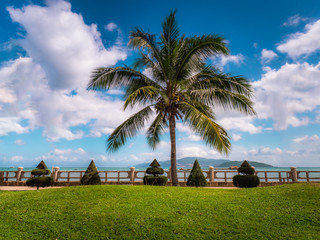 tropical beach with palm trees and island behind