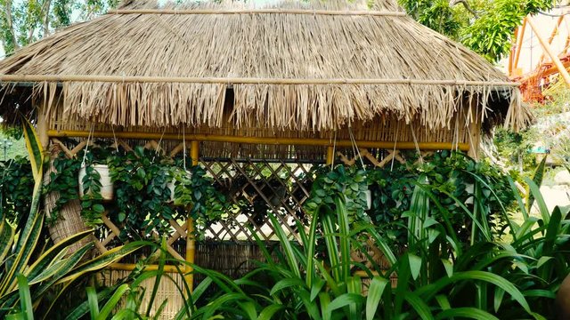 Bamboo hut with thatched roof.