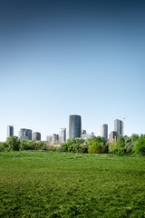 Fototapeta na wymiar City center behind green meadow vertical