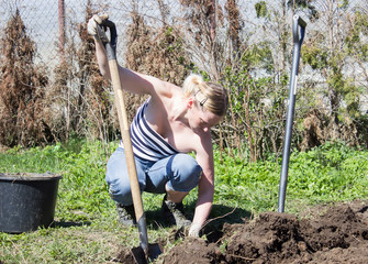 A woman works in the garden. Soil preparation