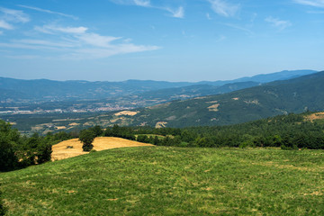 Summer landscape near Verna, Tuscany