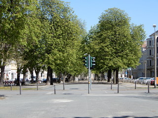 Naklejka premium park in the city