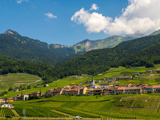 Fototapeta na wymiar Summer Switzerland valley landscape with vineyards at foreground