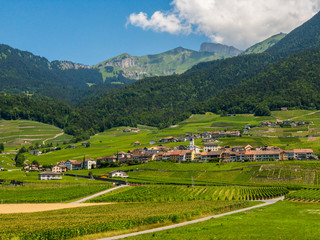 Summer Switzerland valley landscape with vineyards at foreground