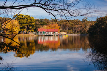 Obraz premium Lake Daylesford Victoria in Autumn