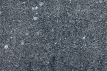 Background: grey cement wall with moss stains