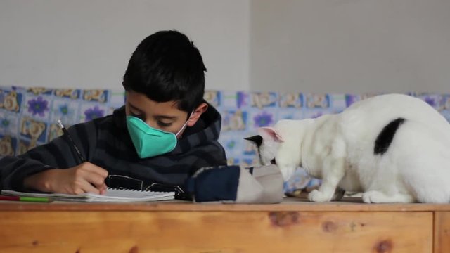 Ni&ntilde;o sentado estudiando en cuarentena con su tapabocas. Un gato blanco sobre la mesa juega a su lado mientras el ni&ntilde;o escribe sobre su cuaderno. 
