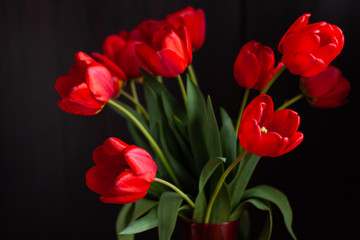 Fototapeta premium Amazing blooming red tulips bouquet on black background. Dark moody low key minimalism style flowers photo banner. Love greeting card copy space. Mother's Women's Valentine's day, romantic wallpaper.