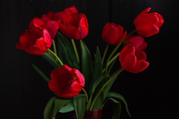 Amazing blooming red tulips bouquet on black background. Dark moody low key minimalism style flowers photo banner. Love greeting card copy space. Mother's Women's Valentine's day, romantic wallpaper.