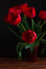 Amazing blooming red tulips bouquet on black background. Dark moody low key minimalism style flowers photo banner. Love greeting card copy space. Mother's Women's Valentine's day, romantic wallpaper.