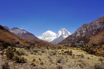 Meadows and high mountains