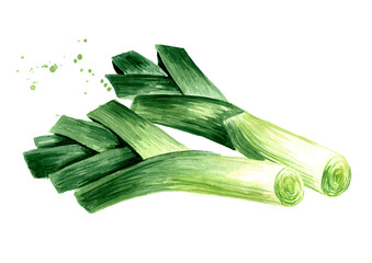 Fresh leek  whole stems, Watercolor hand drawn illustration, isolated on white background