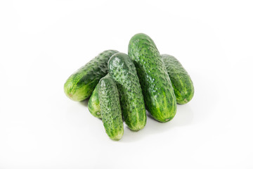 Group of fresh green pickling cucumbers on white background