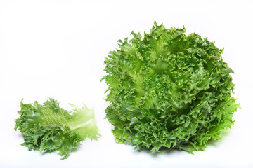 Green lettuсe on white background