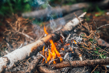 Burning branches and brushwood in fire close-up. Atmospheric warm background with orange flame of campfire and blue smoke. Beautiful full frame image of bonfire. Firewood burns in vivid flames.