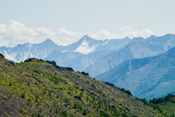 Beautiful aerial view to green forest mountainside with crags and great snowy mountains. Awesome alpine landscape of vast expanses. Wonderful vivid scenery with green mountain with forest and rocks.