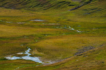 Beautiful small lake and water streams in valley near hillside in sunlight. Vibrant landscape with blue water and green mosses in sunny day. Vivid highland scenery with alpine lakes and mossy slope.