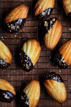 Madeleine cookies in chocolate icing and coconut crumbs
