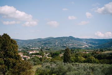 View on rows of olive trees from the Medici Villa of Lilliano Wine Estate in Tuscany, Italy.