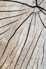 Background: Closeup of wood surface

