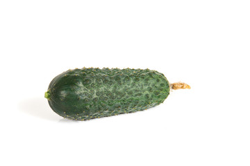 Green cucumber with yellow flower on a white background
