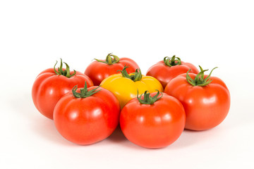 Group of red fresh tomatoes and one yellow tomate on a white background