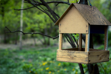 bird house in the woods