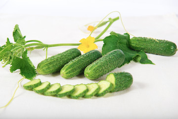 Group green cucumbers with slices on the white background