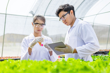 Scientists test the solution, Chemical inspection, Check freshness  at organic, hydroponic farm.