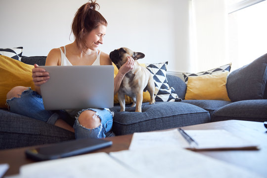 Female working on laptop with pet dog on sofa.