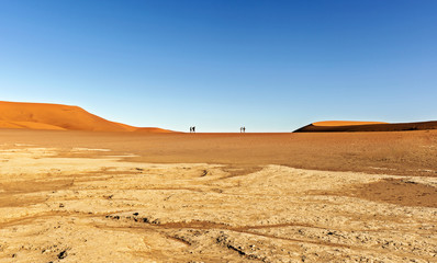 Sand Dune in the Namibian Desert near Sossusvlei in Namib-Naukluft National Park, Namibia.
