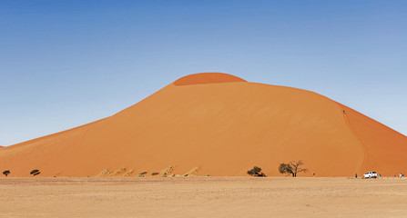 Fototapeta na wymiar Sand Dune in the Namibian Desert near Sossusvlei in Namib-Naukluft National Park, Namibia.
