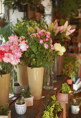 Intérieur d'un magasin de fleuriste	
