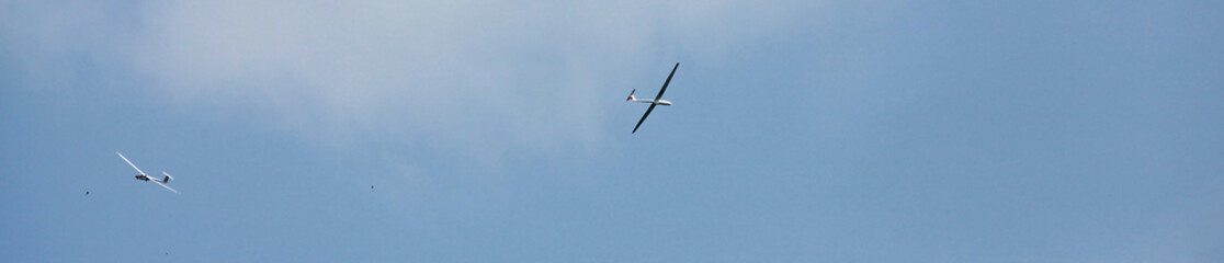 Planeurs en vol