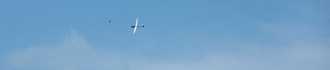 Planeurs en vol