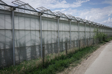 Fototapeta na wymiar Greenhouse for fruits and vegetables. Side view.