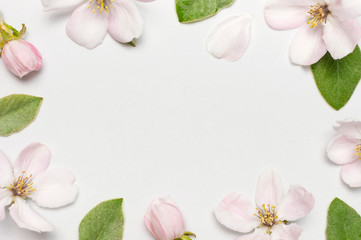 Spring nature background. Frame from Beautiful spring white flowers green leaves on light background flat lay top view copy space. Springtime concept flowers composition bloom delicate flowers