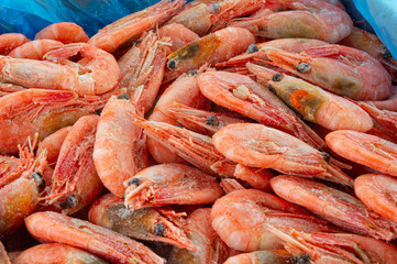 shrimps frozen in the box