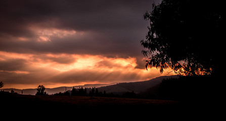 atardecer