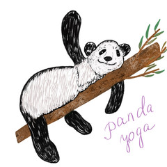Panda illustration on bamboo branch doing yoga isolated on white. Panda yoga text. Home yoga. Quarantine hobby. Postcard, mug, stationery design © Kate