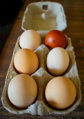 Six free range eggs in various sizes and colours on the kitchen table, one red, three white and two creamy colored eggs in a box, happy hens gives better eggs, support local farmers