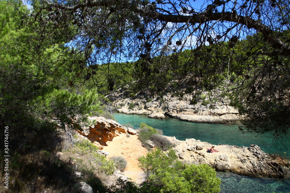 Wall mural river in the mountains