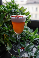 alcoholic cocktail on the background of plants