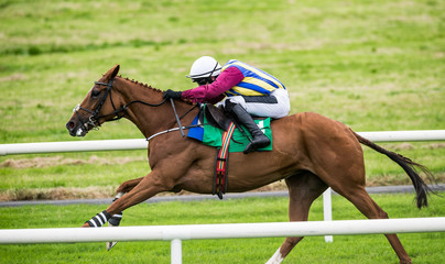 Close up fast sprinting race horse and jockey galloping on the race track