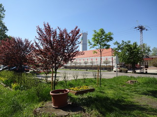 Fototapete bei efototapeten.de bestellen   