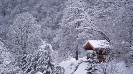 house in the snow