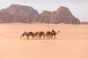 A lone caravan of camels is walking through the desert in the background are yellow-brown mountains.