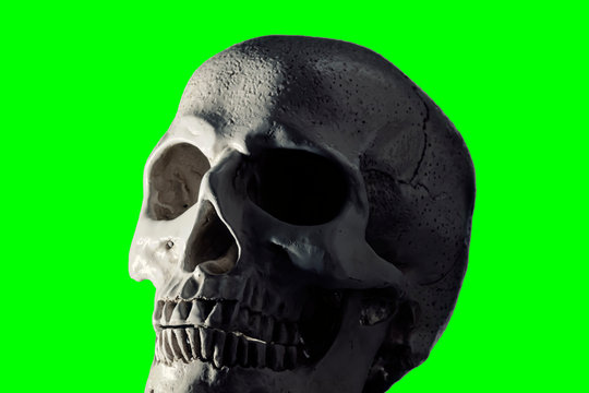 A scary human skull, againts a green screen, contrasty colors. Close-up shot.
